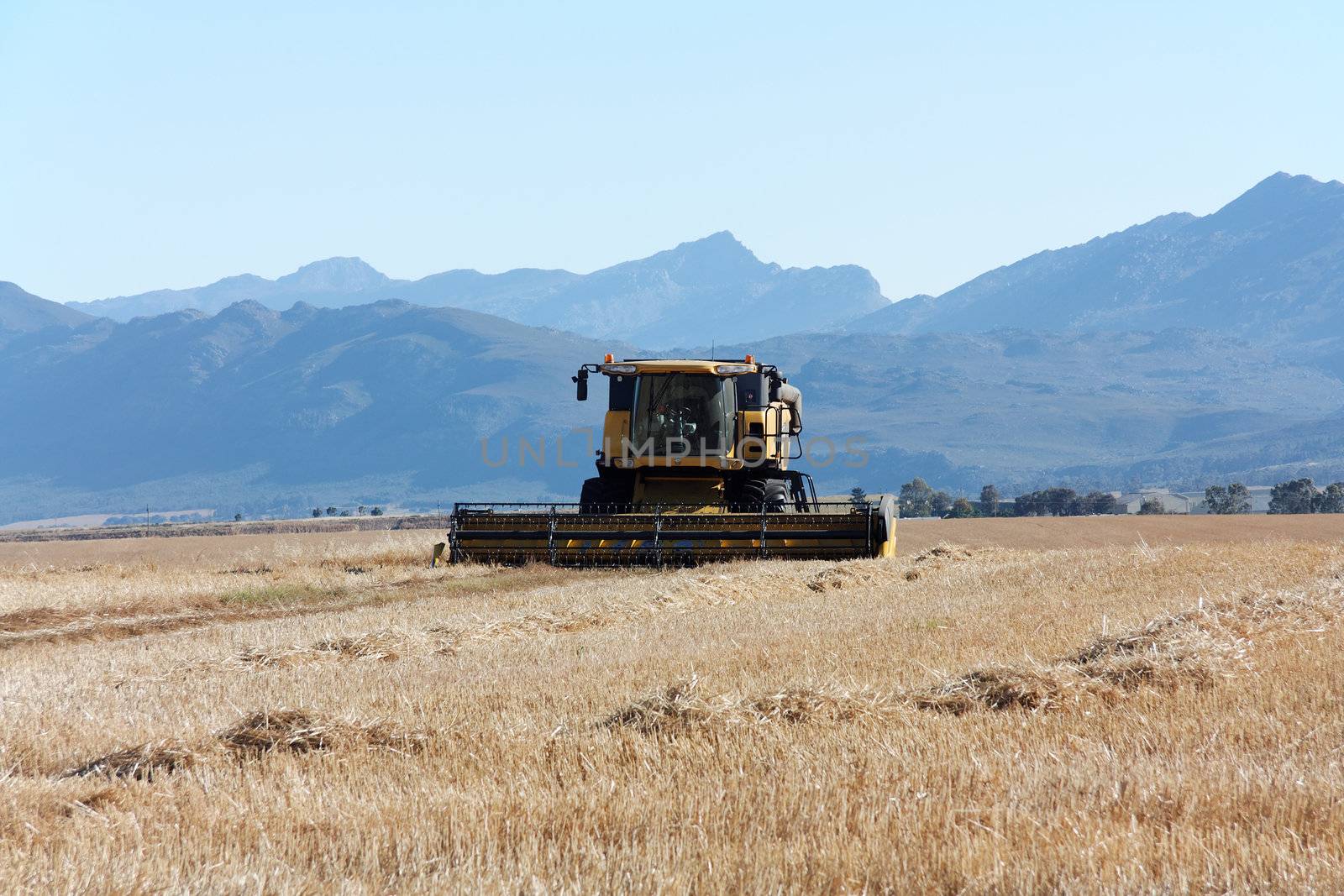 Combine harvester on a large field. by Farina6000