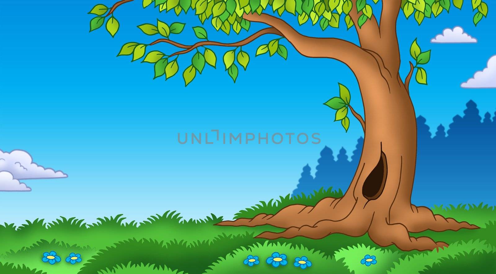 Leafy tree in grassy landscape - color illustration.