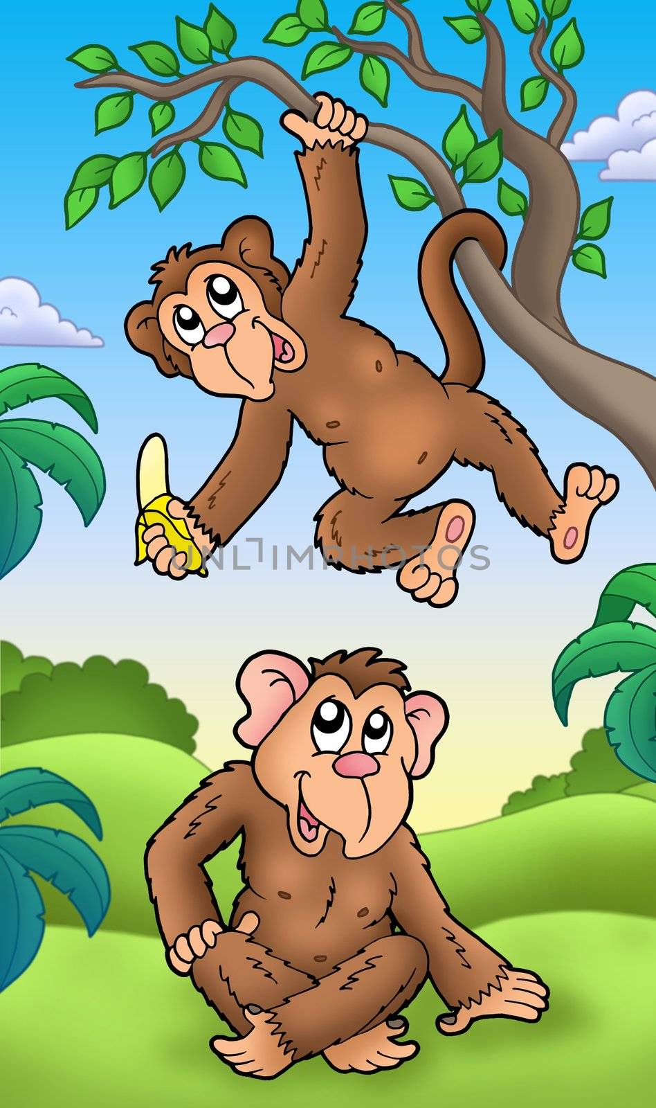 Two cartoon monkeys - color illustration.