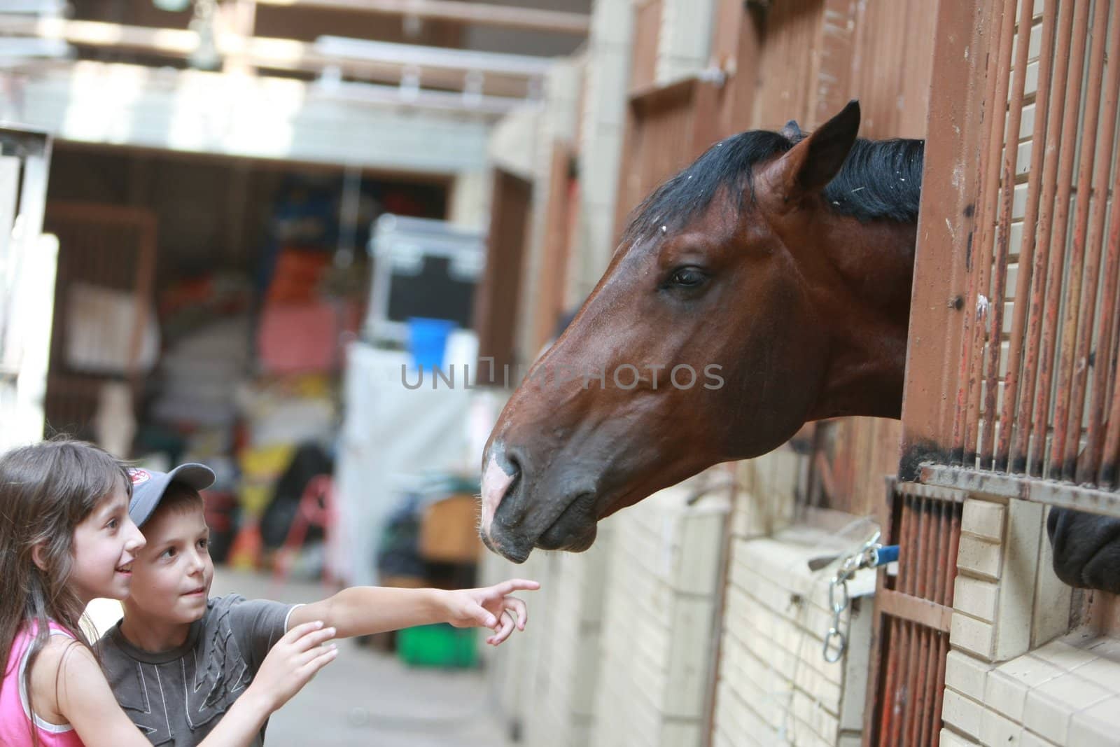 KYIV, UKRAINE - JULY 18: Children playing with a horse in  stable during a Open Equestrian Cup on July 18, 2008 in Kyiv, Ukraine
