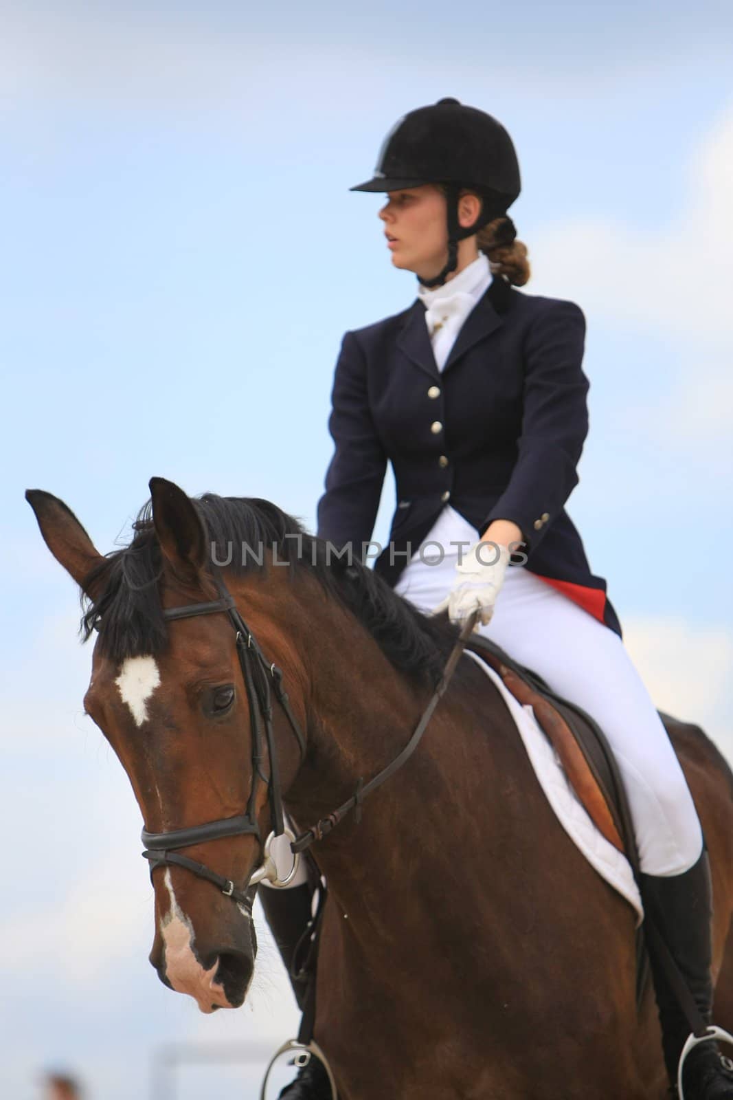 KYIV, UKRAINE - JULY 18: A rider on a brown horse during  a Open Equestrian Cup on July 18, 2008 in Kyiv, Ukraine