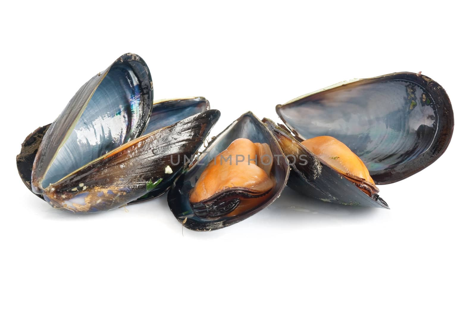 three mussels boiled with garlic isolated on white background