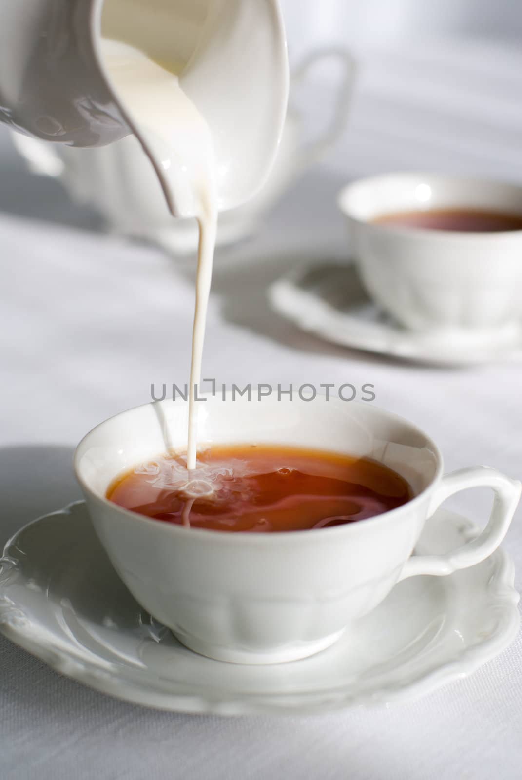 Pouring milk from porcelain milk jug into cup filled with tea - white tablecloth background.
