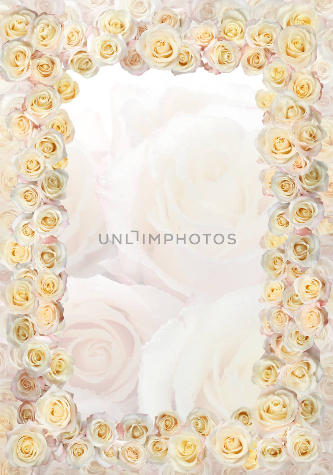 Frame of roses wedding / greetings on the occasion