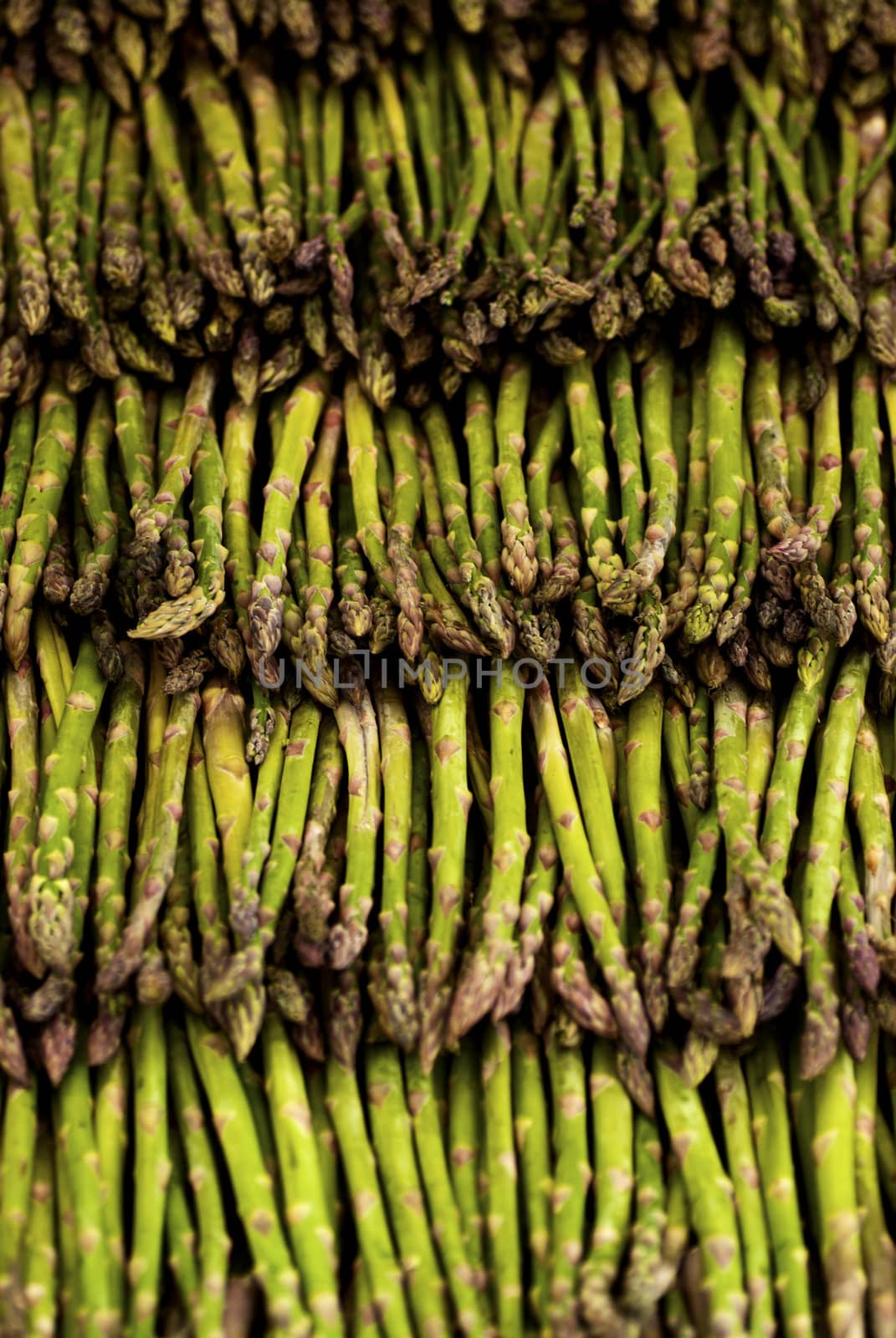 Asparagus lined up for sale on a market