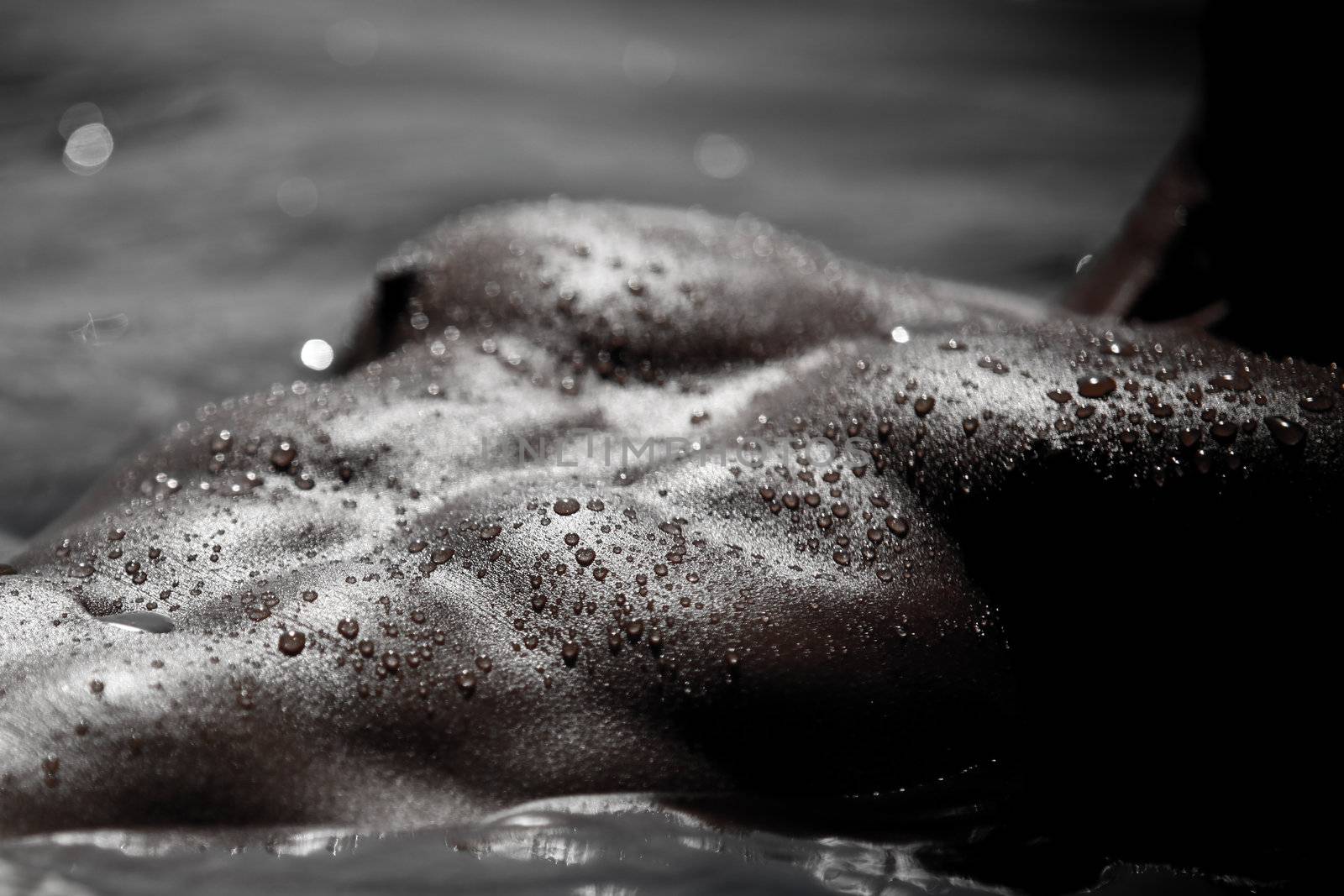 Monotone Bodyscape Photo Of A Man's Abdomens And Pectorals Covered With Water Drops And Shining