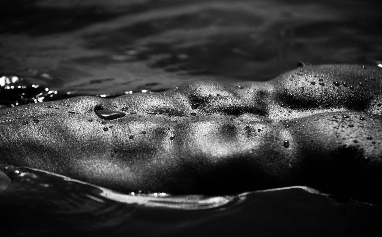 Closeup Monotone  Photo Of A Muscular Male Abdomen And Pecs Shining On Water