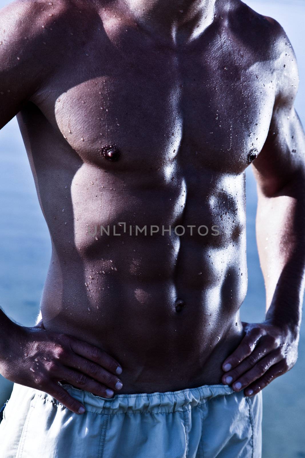 Closeup Photo Of A Sensual Muscular Man Torso