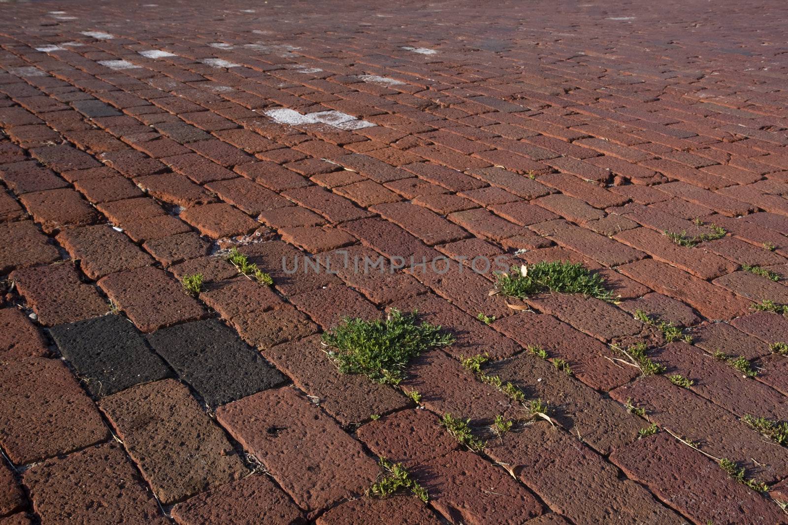 red brick pavement with some green weeds on a street