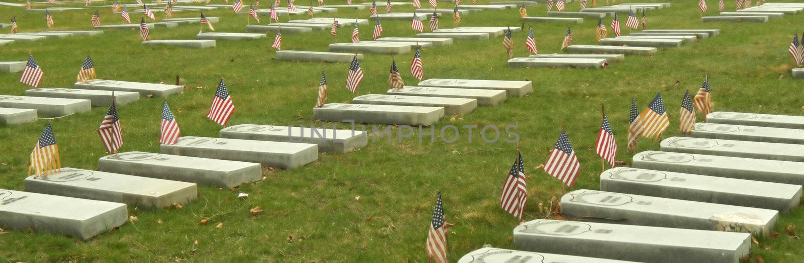 many graves each decorated with an anerican flag