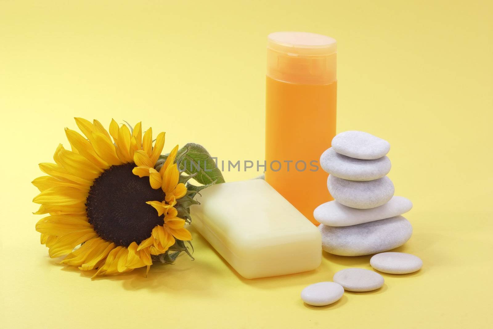 Bath lotion and a sunflower on yellow background