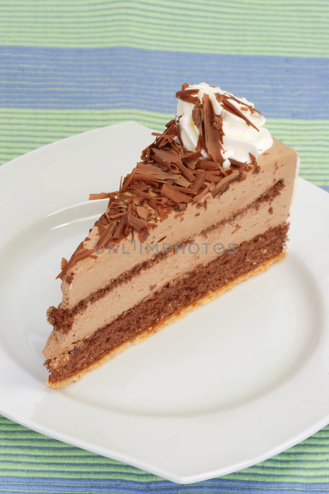 Piece of chocolate cake on a plate with bright background