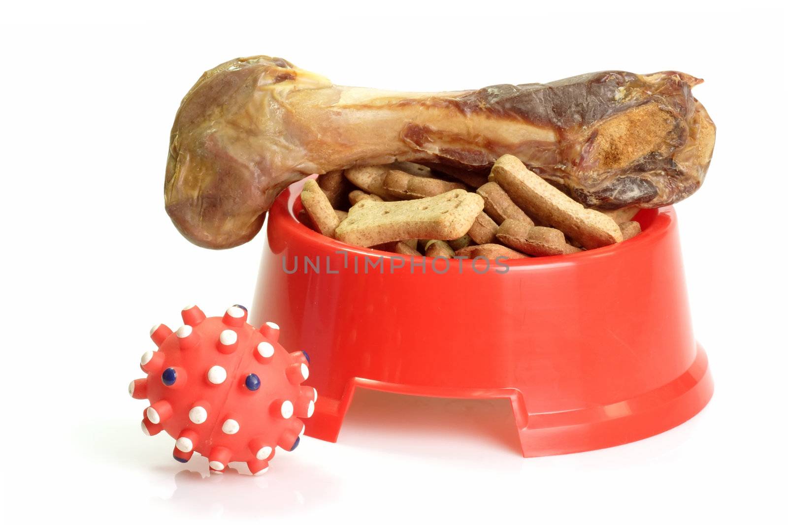 Red bowl with dog food and dog toy