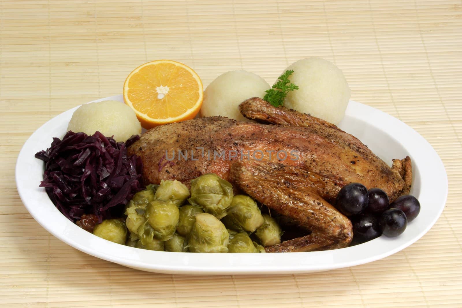 Roasted duck dinner on bright background