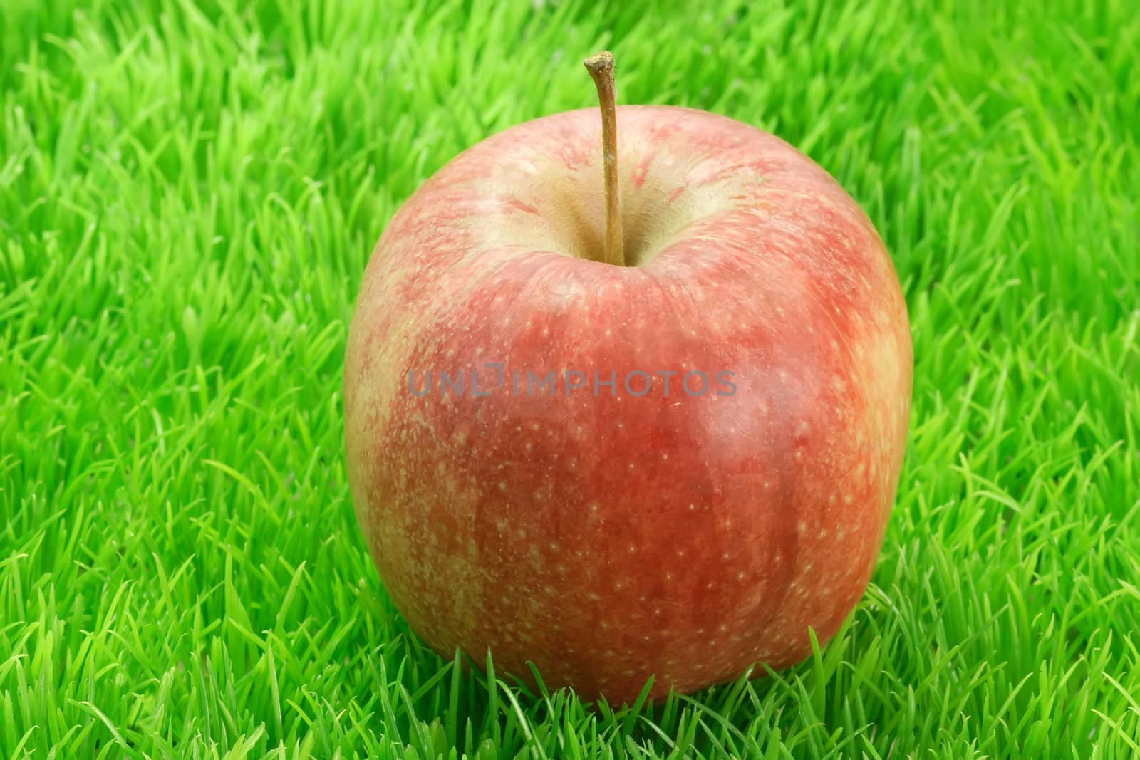 Fresh red apple on green grass. Shot in Studio
