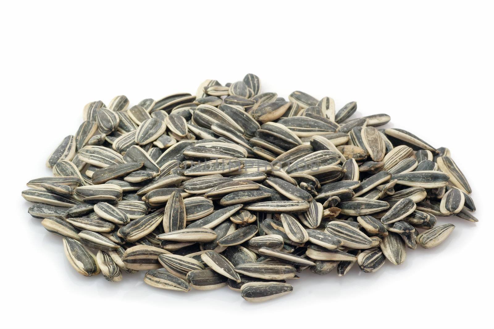 Sunflower seeds on a bright background
