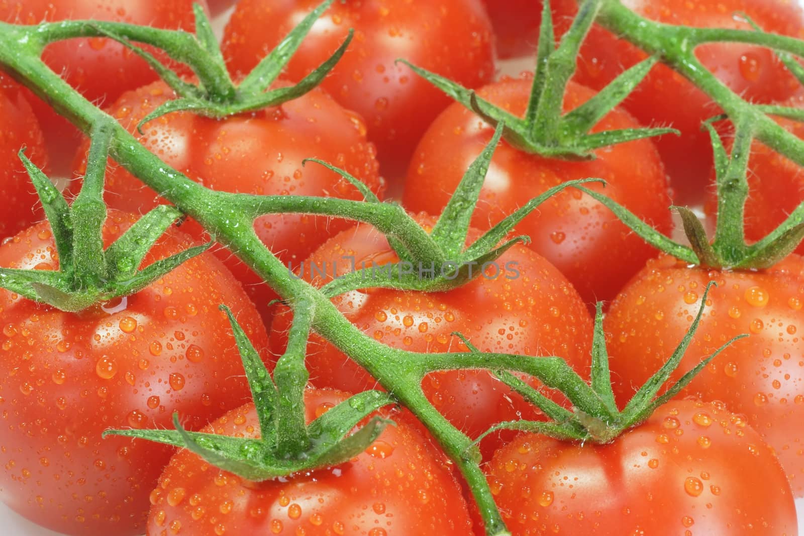 Fresh tomatoes on bright background