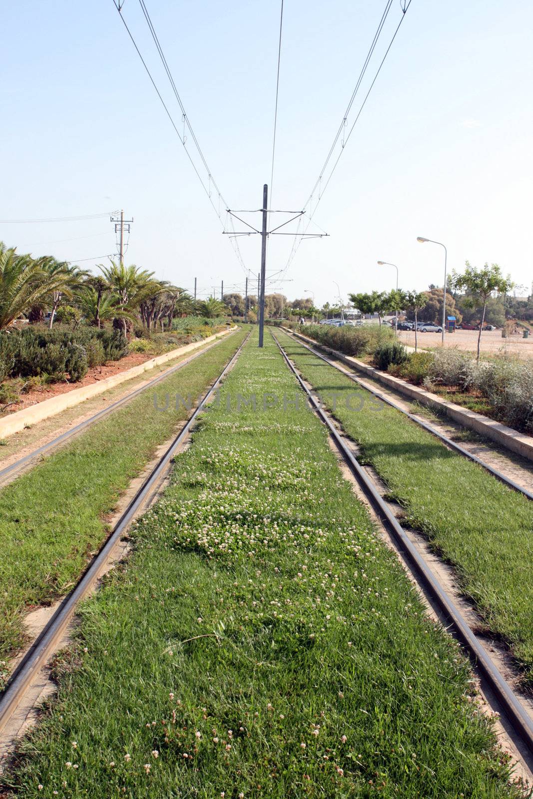 nature and transportation electric railway with grass and plants environmental friendly 