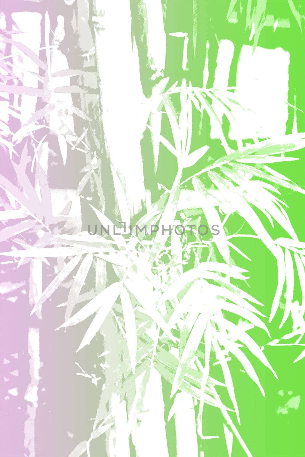 Bamboo Asian Abstract Background Wallpaper in Illustration Form