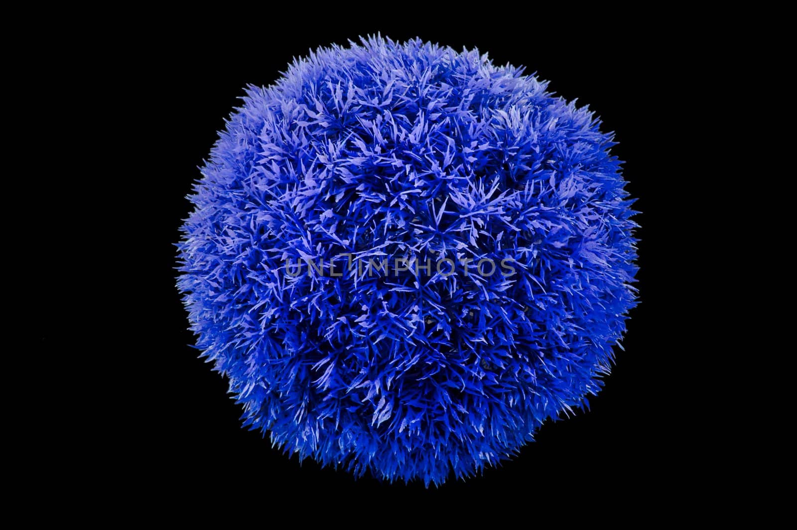 Big blue grass ball isolated on black