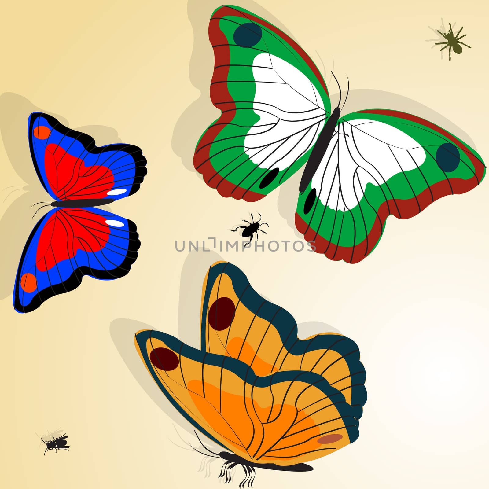 Buterflies illustration by Lirch