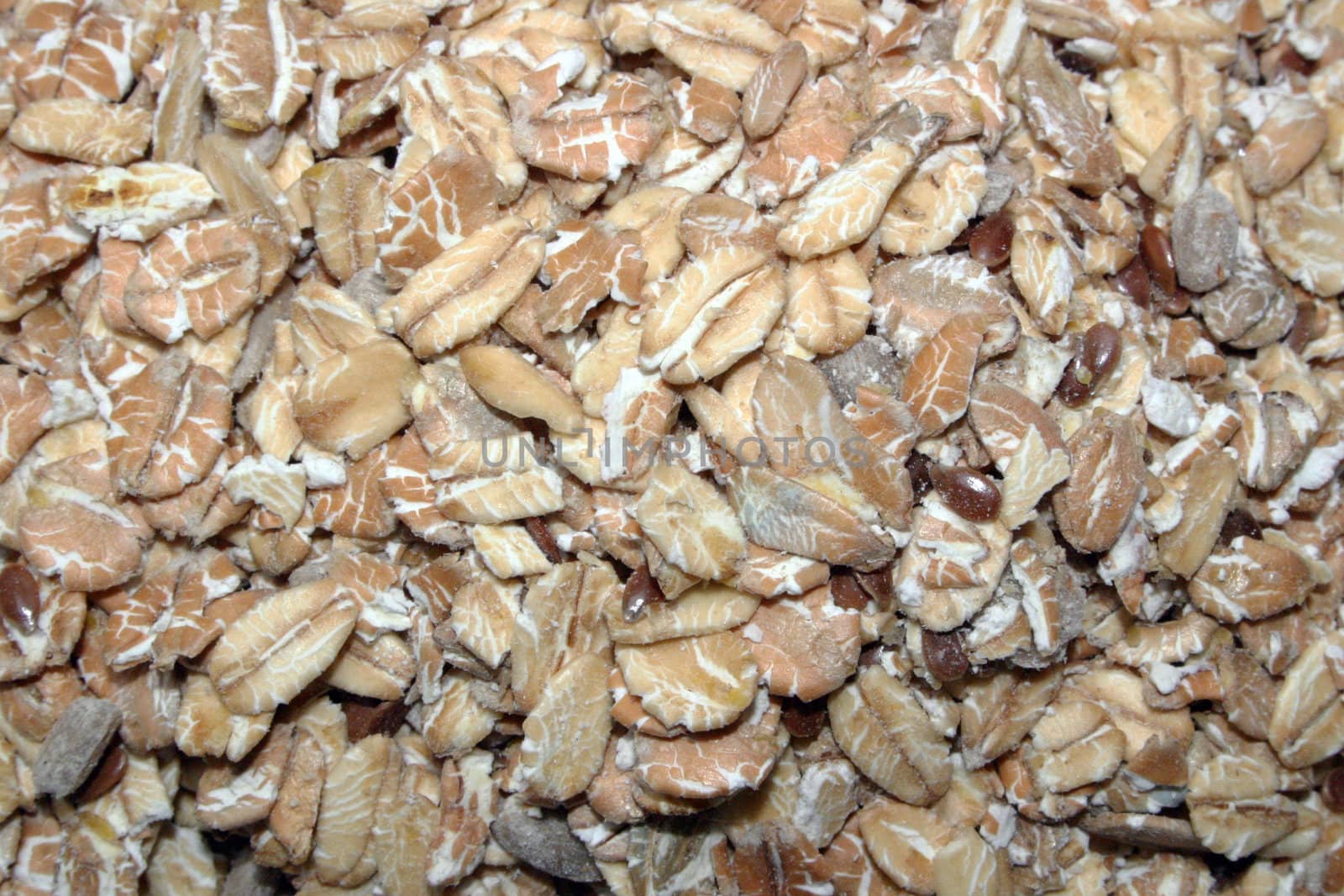 Wheat grains cereal closeup