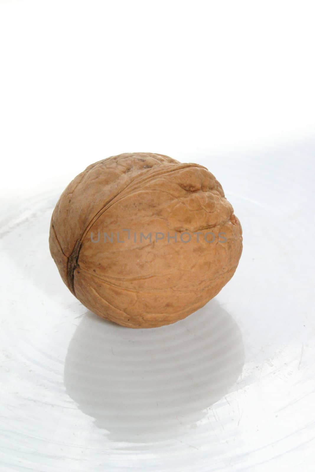 close up of a walnut on white background