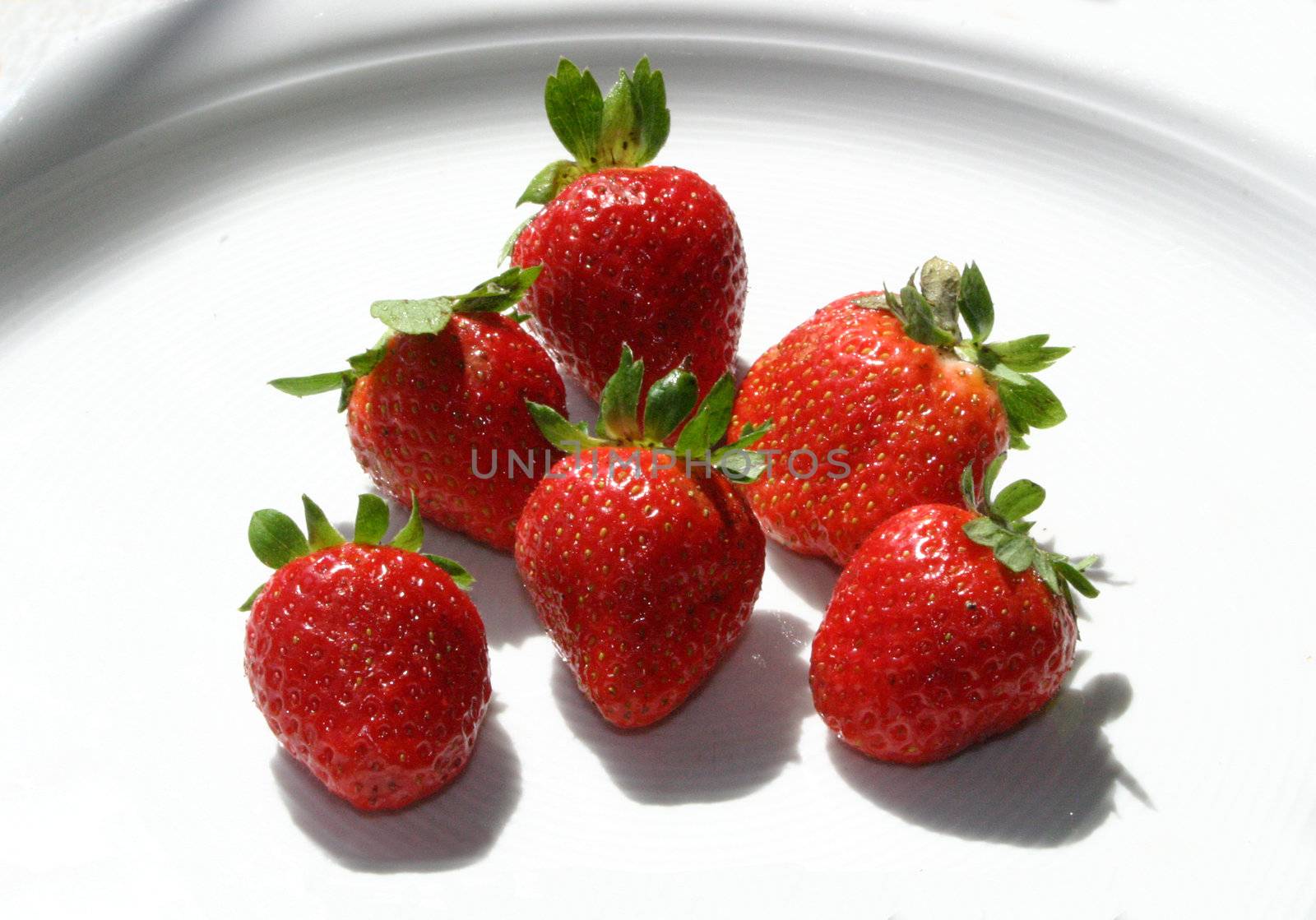 Six isolated red strawberries on white dish