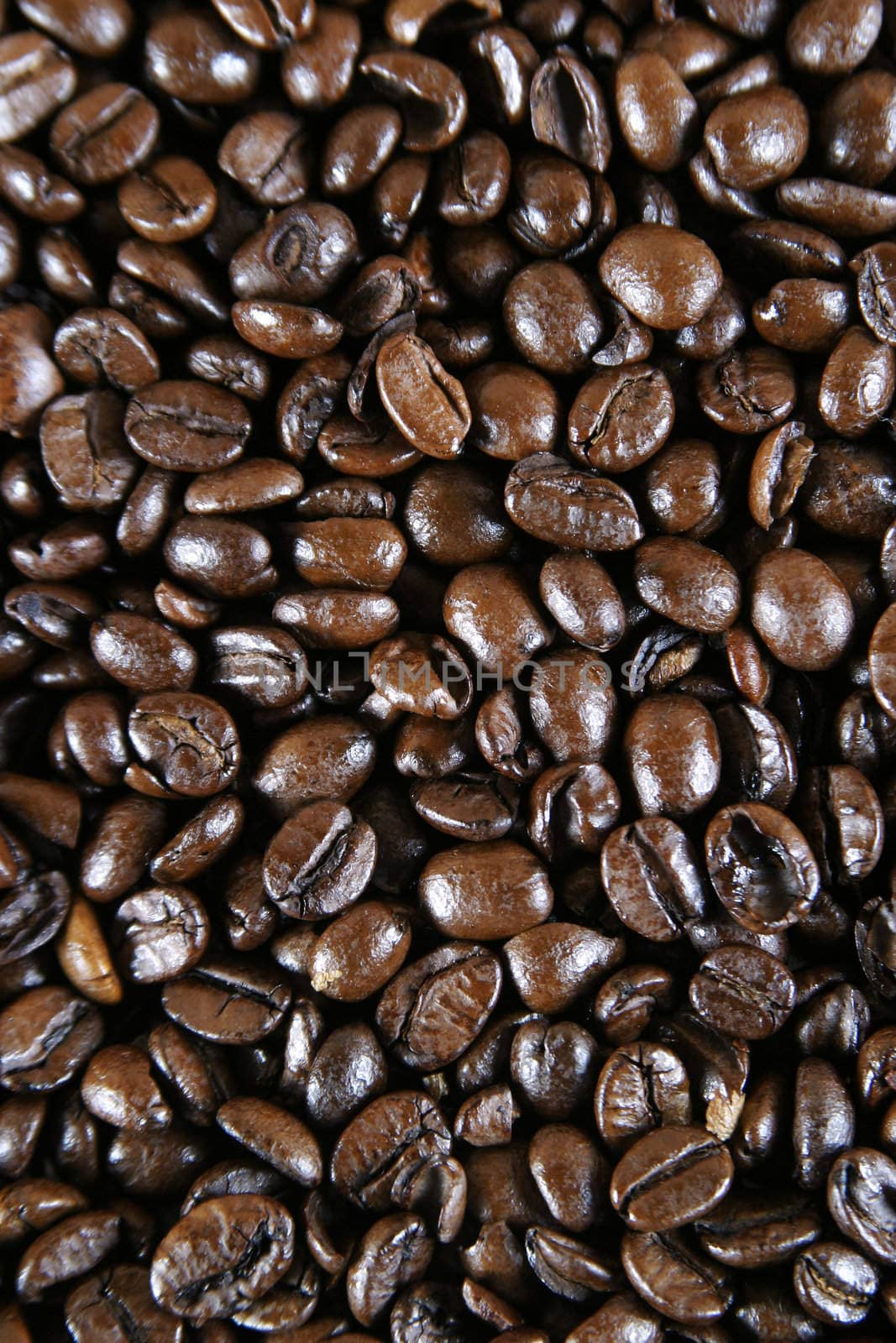 Coffee espresso bean detail background image