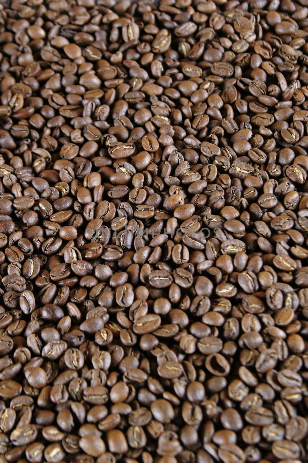 Light roast coffee beans texture image
