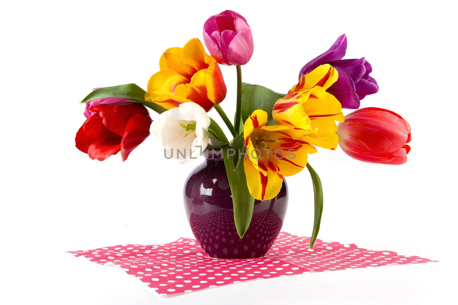beautiful tulips in a vase