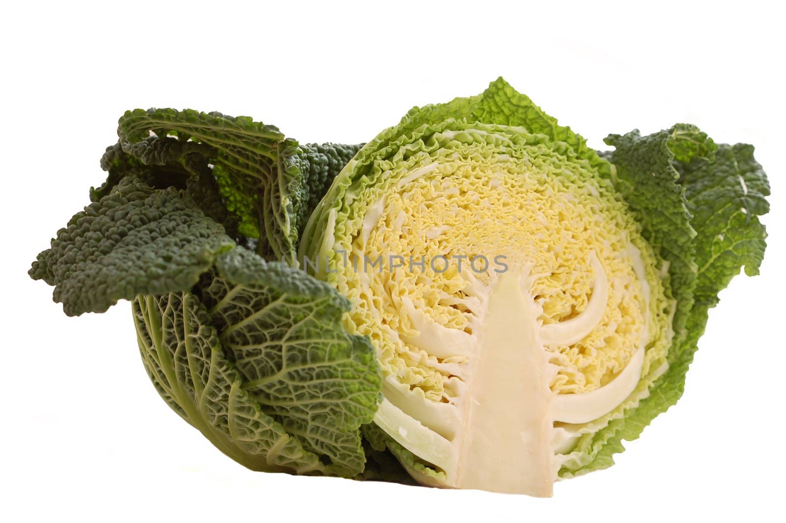 half a savoy cabbage
