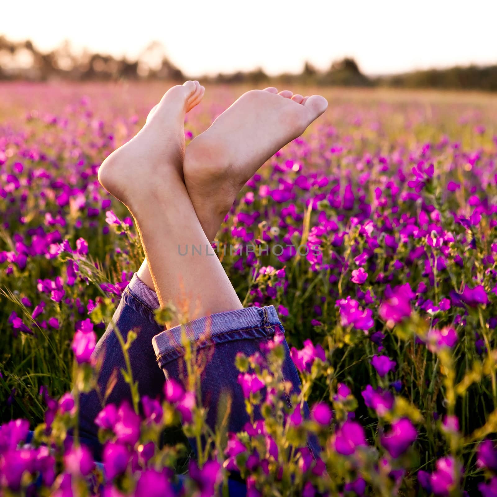 Female crossed legs on a beautiful flowery meadow