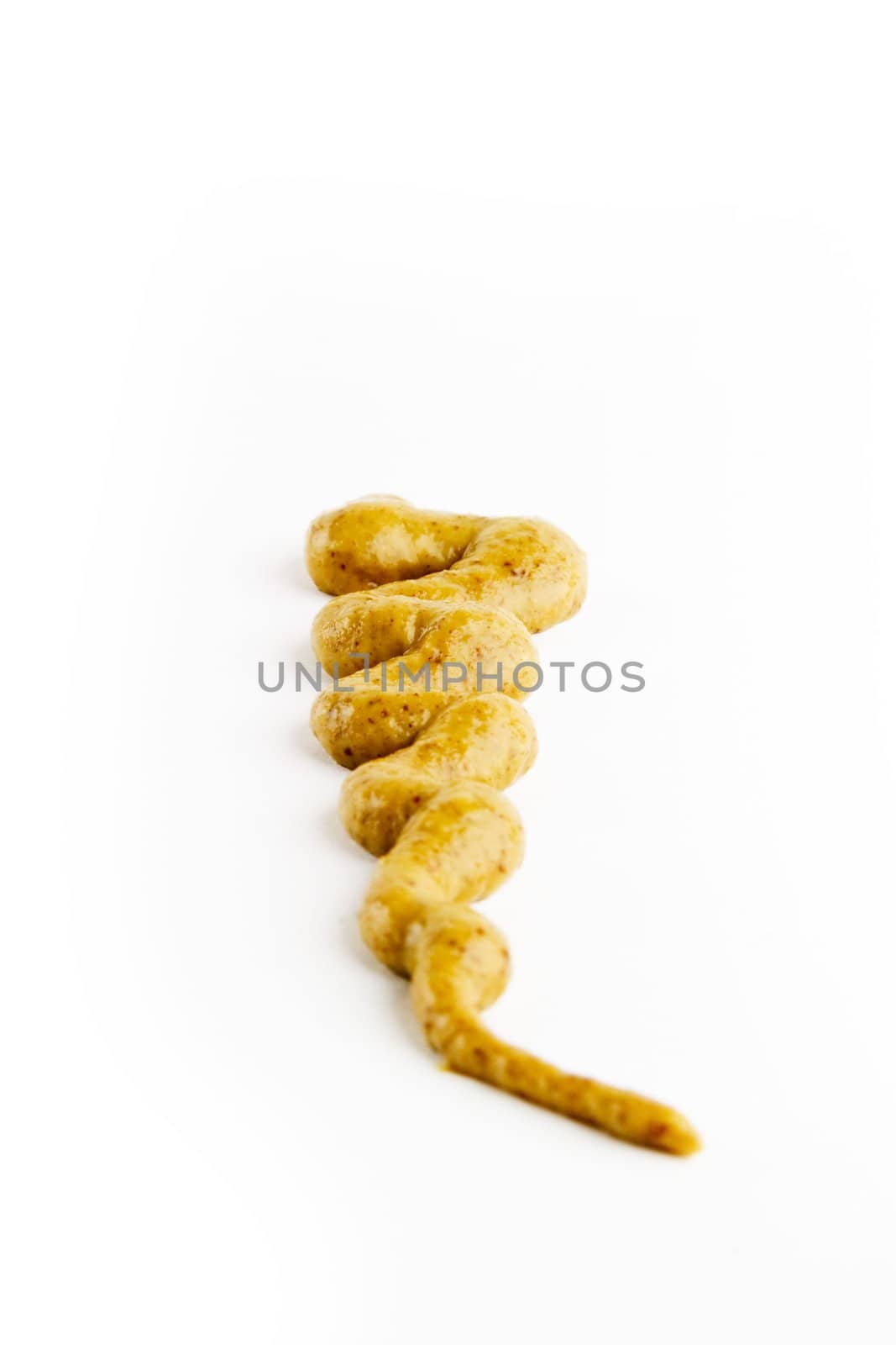 Dijon Mustard isolated on a white background.