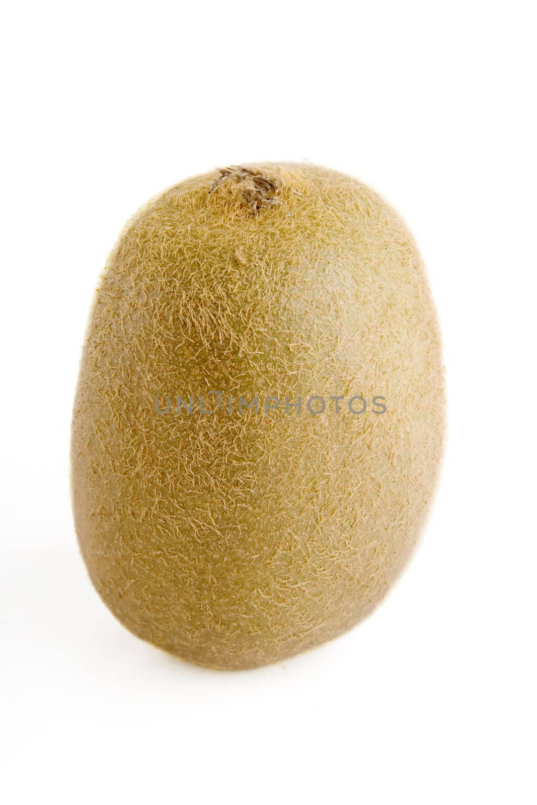 A single kiwi fruit isolated on white.