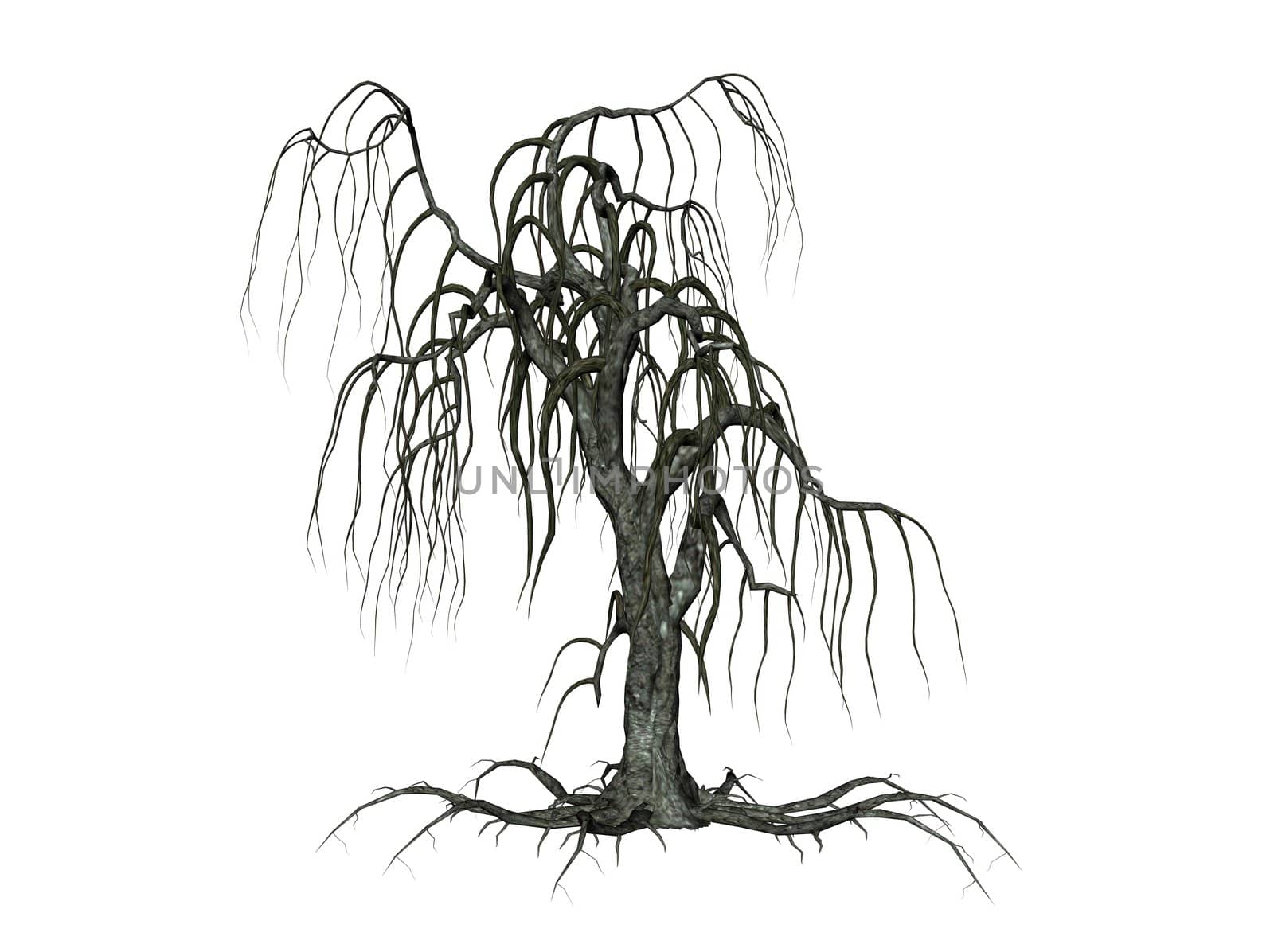 Illustration of a creepy tree, isolated agains white background