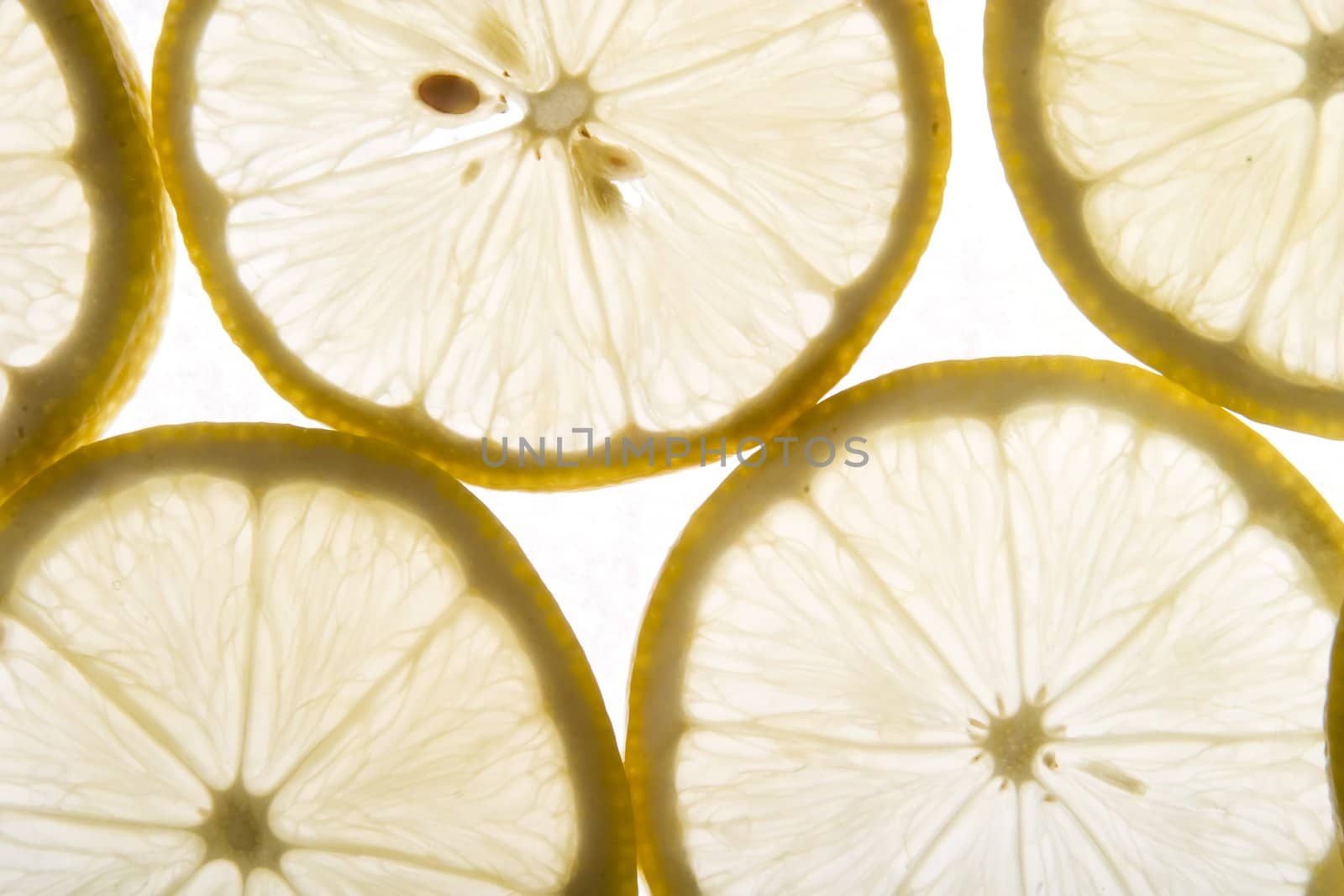 Lemon Texture by leaf