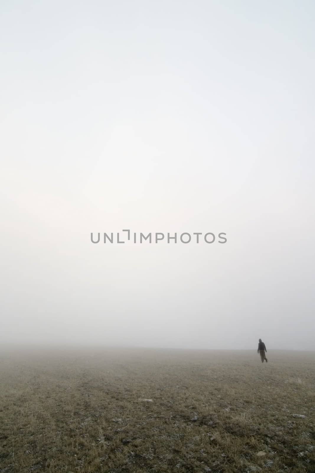 Walking in prairie fog in a meadow