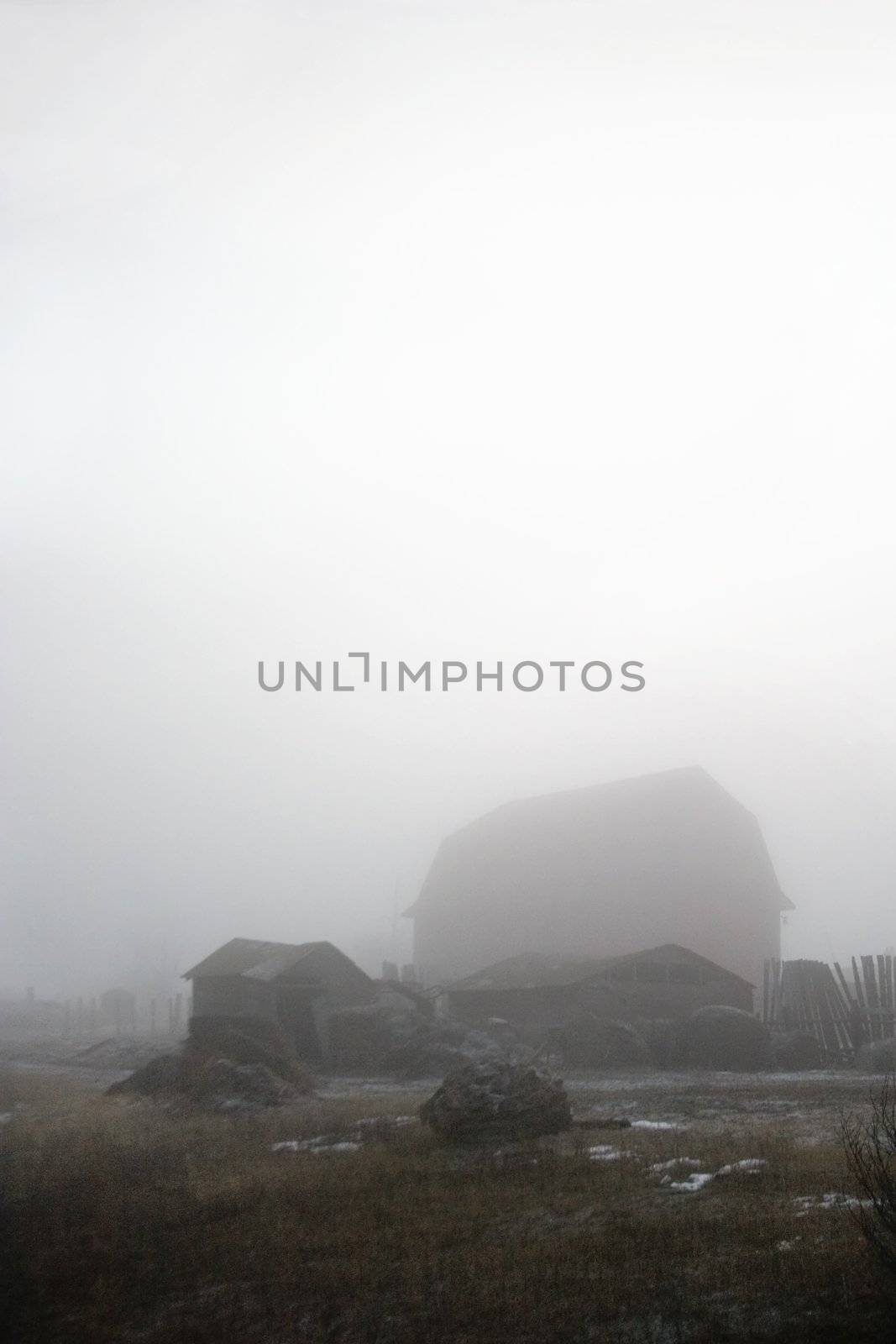 Abandoned farmyard engulfed in fog.