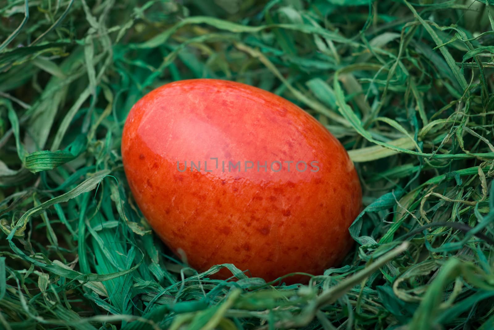 Red easter egg on the green hay. Selective focus, shallow depth of field.