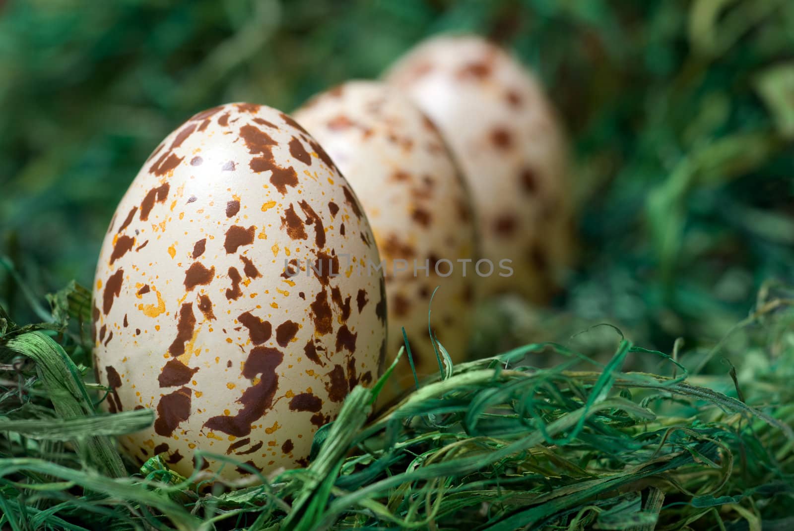 Three spotted eggs on the green hay. Selective focus, shallow depth of field.