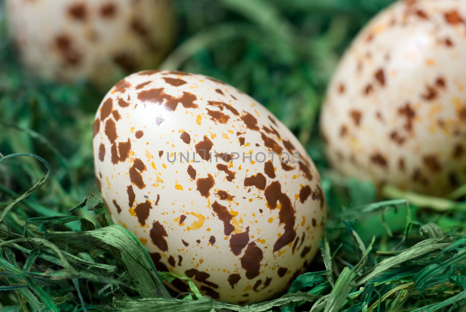 Spotted egg on the green hay. Selective focus, shallow depth of field.