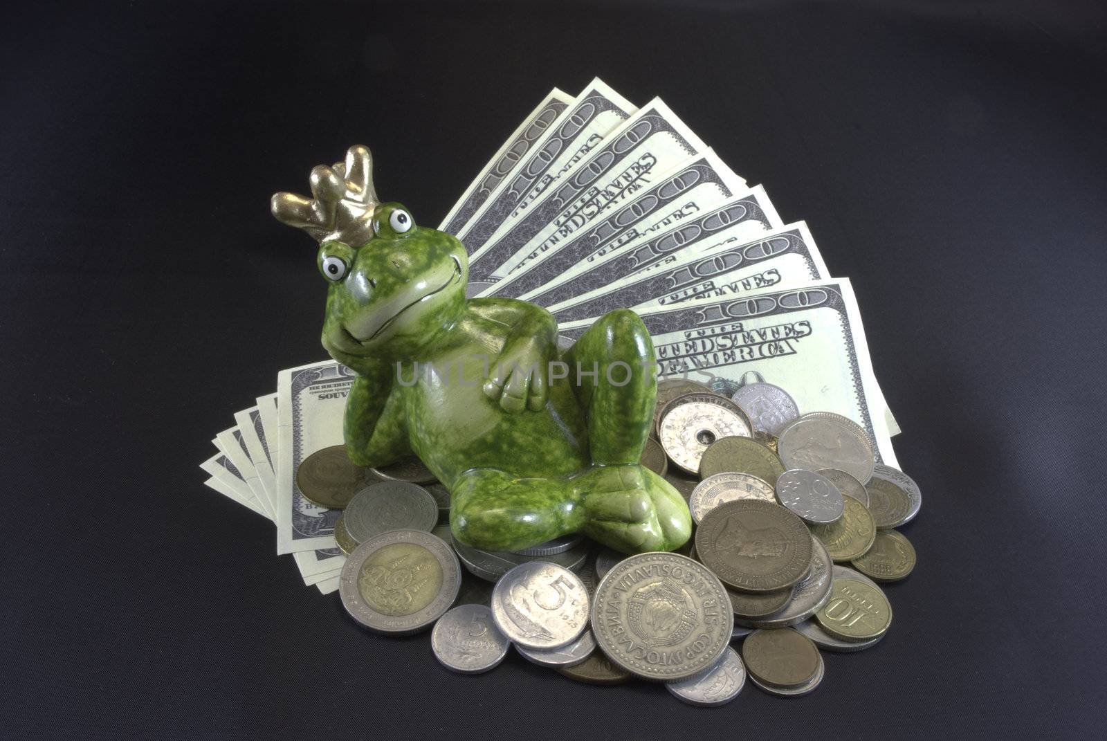 Frog on the money on black background