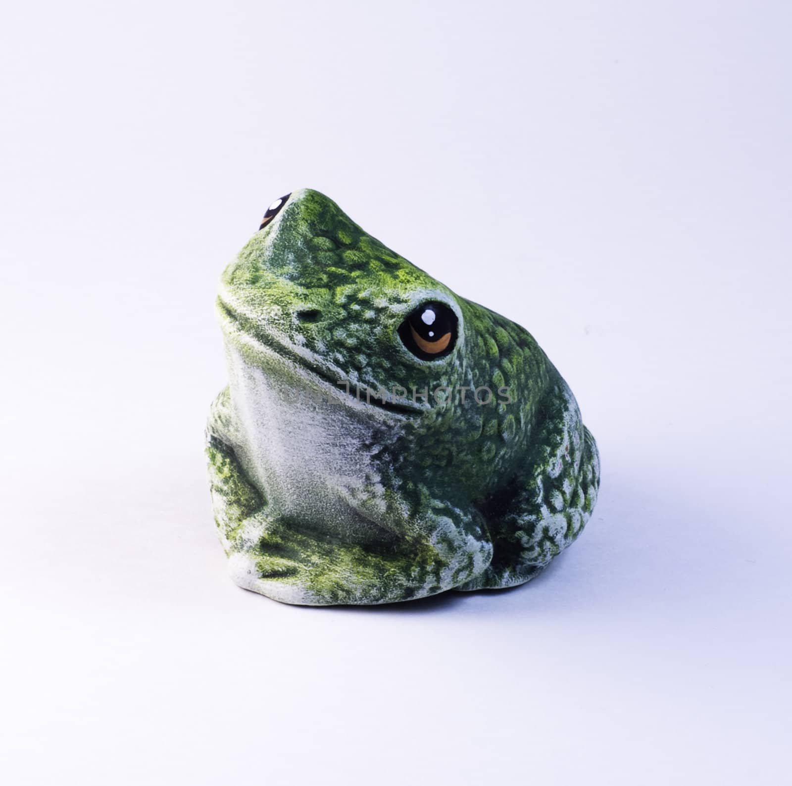 Frog by BIG_TAU