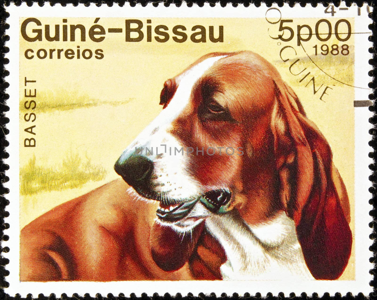 Guine-Bissau postage stamp featuring a basset dog.