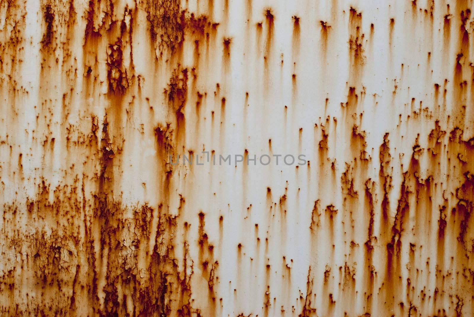 Rusty metal surface  details shot with natural light.