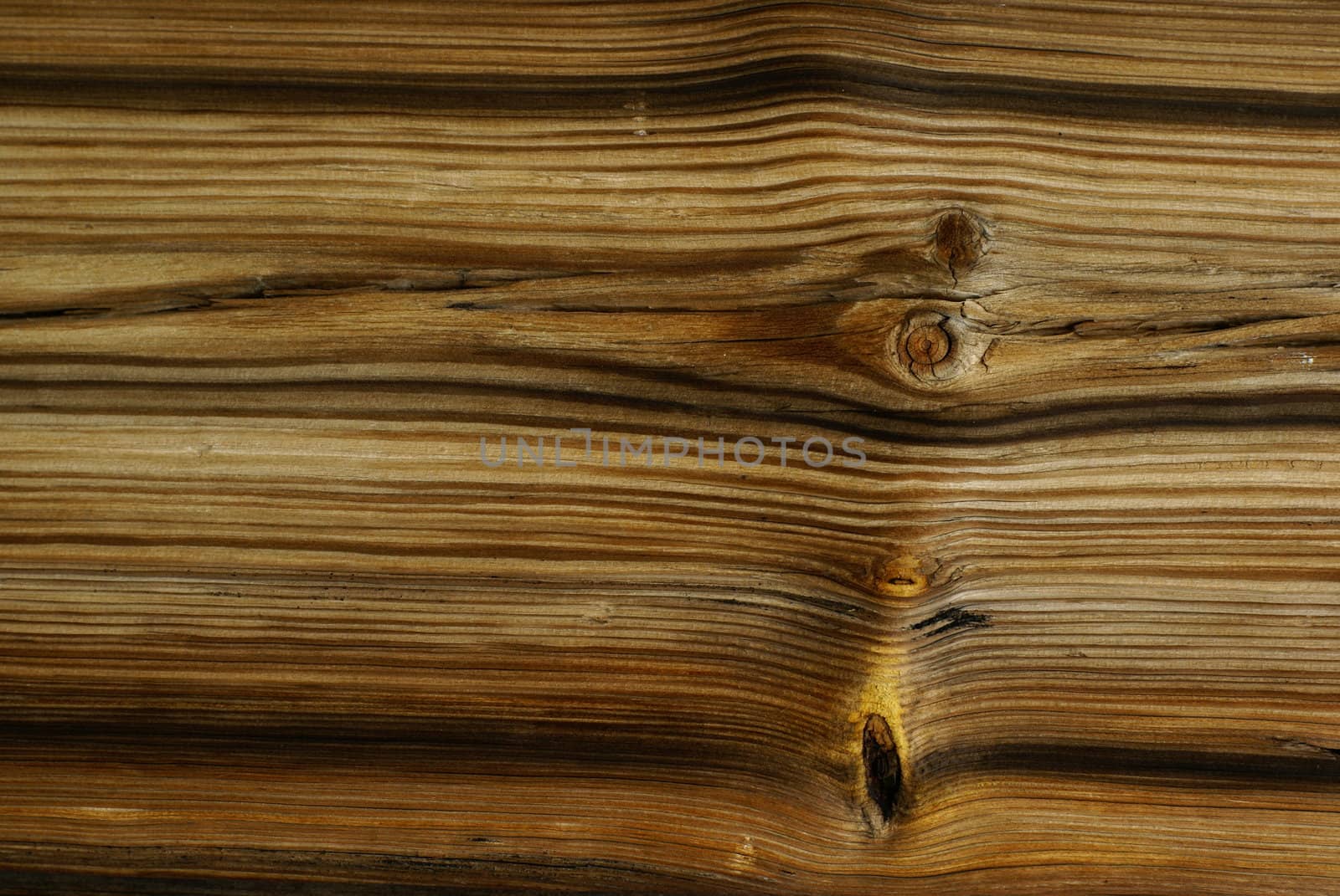 Old wood background with knots.