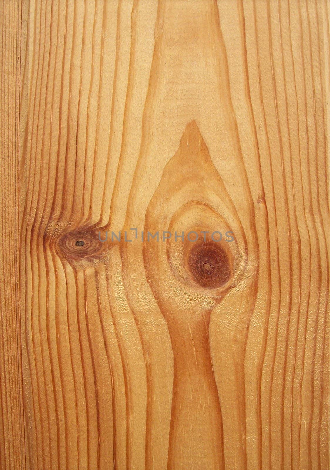 Close up photo of wood
