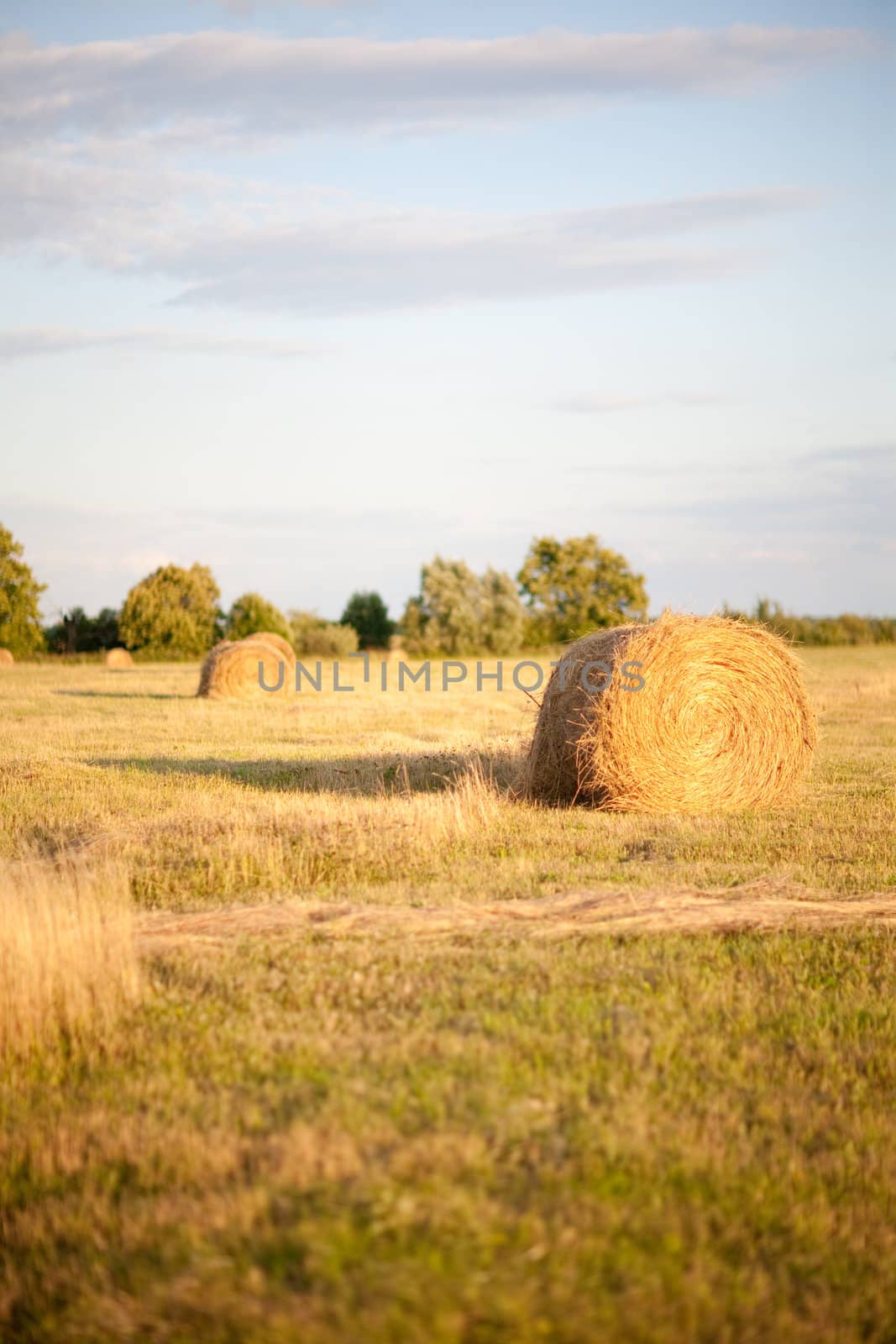 Hay Bales in the countryside by vsurkov
