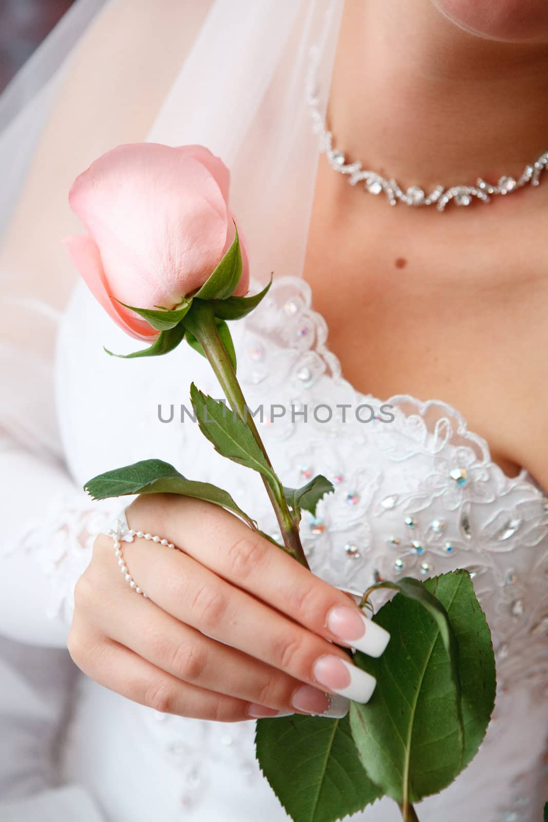 a rose in the hand of the bride